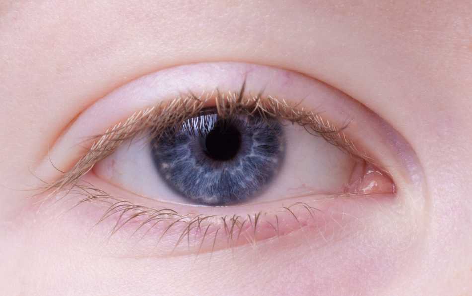 Surprising Facts About Those Beautiful Blue Eyes