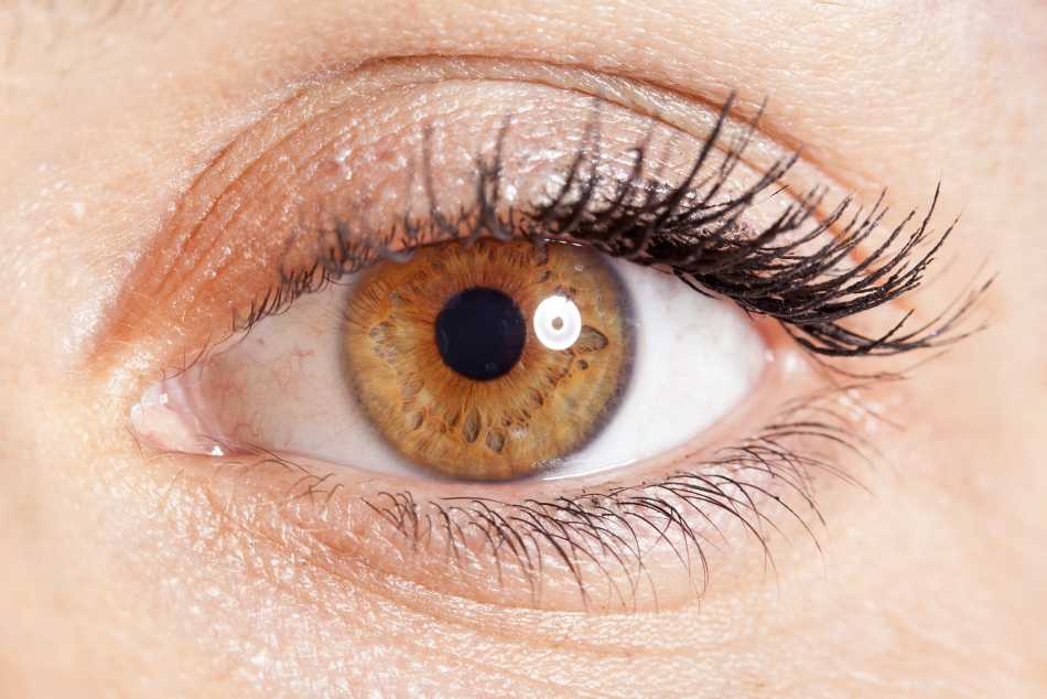 The Sclera: Strong Support for Clear Vision
